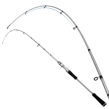 Rods
